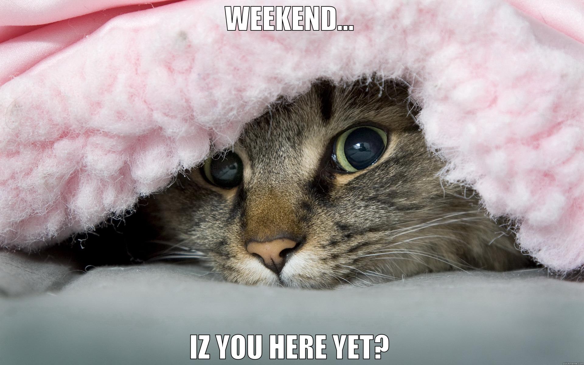 WEEKEND... IZ YOU HERE YET? Misc