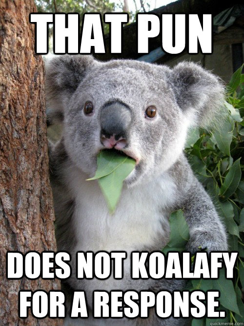 That pun does not koalafy for a response. - That pun does not koalafy for a response.  koala bear
