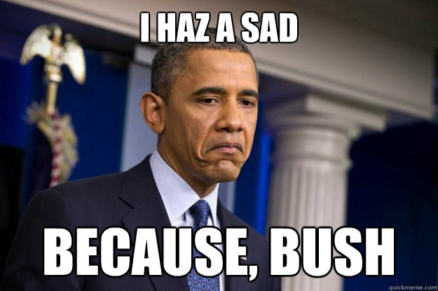 I HAZ A SAD Because, Bush  