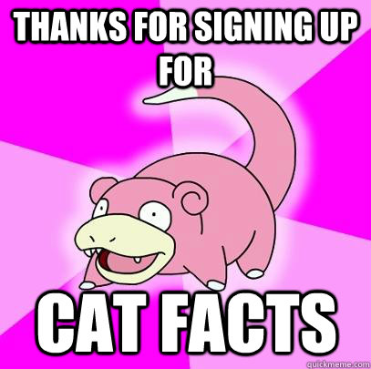 Thanks for signing up for Cat facts - Thanks for signing up for Cat facts  Slowpoke