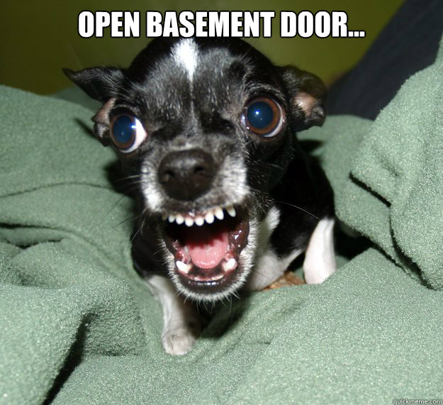 Open basement door...   Chihuahua Logic