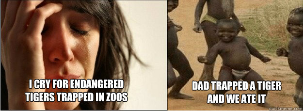 I cry for endangered tigers trapped in zoos dad trapped a tiger and we ate it  First World Problems vs Third World Success