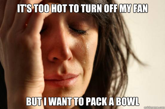 It's too hot to turn off my fan but i want to pack a bowl  First World Problems
