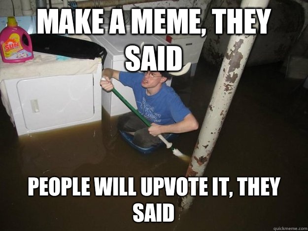 Make a meme, they said People will upvote it, they said  Laundry Room Viking