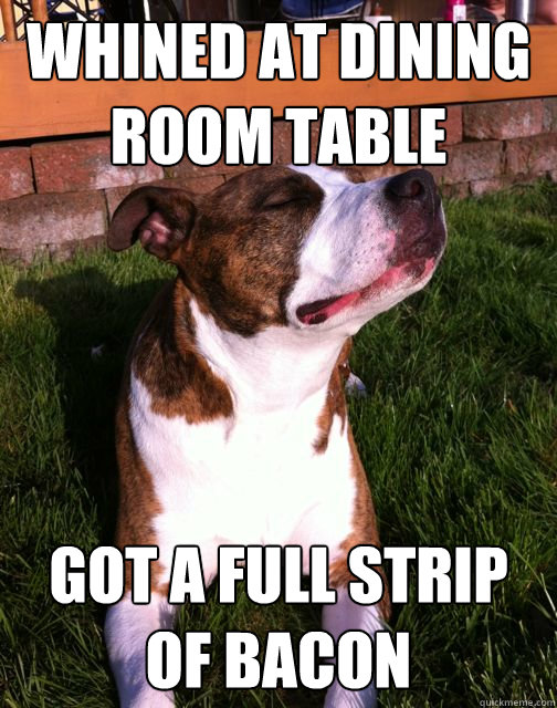 whined at dining room table got a full strip of bacon  
