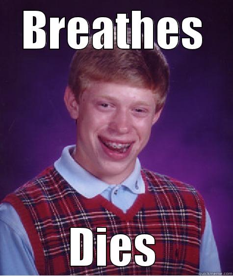 BREATHES DIES Bad Luck Brian