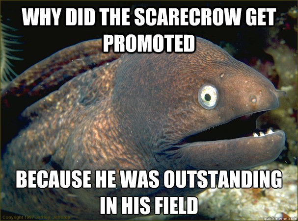 Why did the scarecrow get promoted Because he was outstanding in his field  Bad Joke Eel