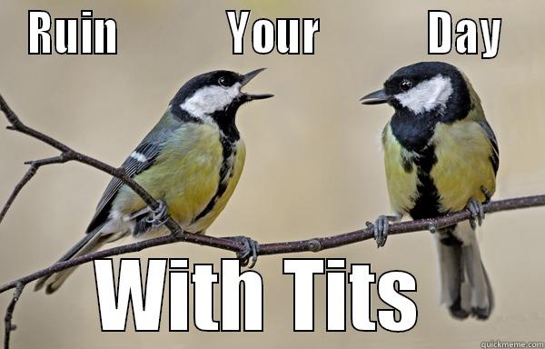 Great Tits!  - RUIN             YOUR             DAY  WITH TITS  Misc