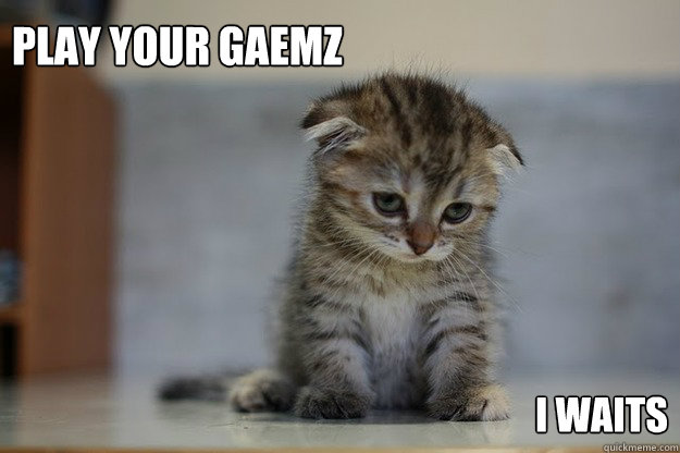 play your gaemz I waits  Sad Kitten