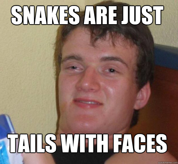 Snakes are just tails with faces - Snakes are just tails with faces  ten guy