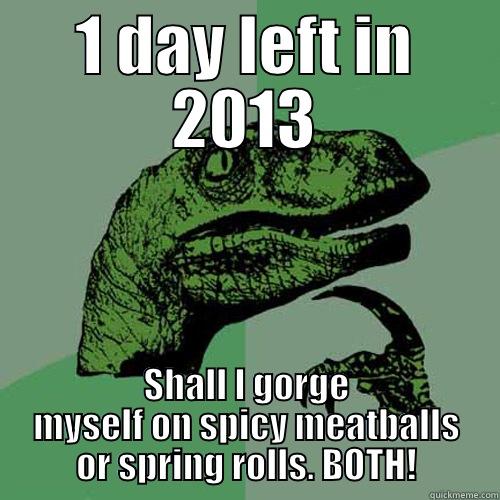 1 DAY LEFT IN 2013 SHALL I GORGE MYSELF ON SPICY MEATBALLS OR SPRING ROLLS. BOTH! Philosoraptor