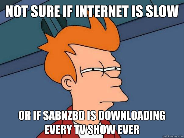 Not sure if internet is slow or if sabnzbd is downloading       Every tv show ever  Futurama Fry