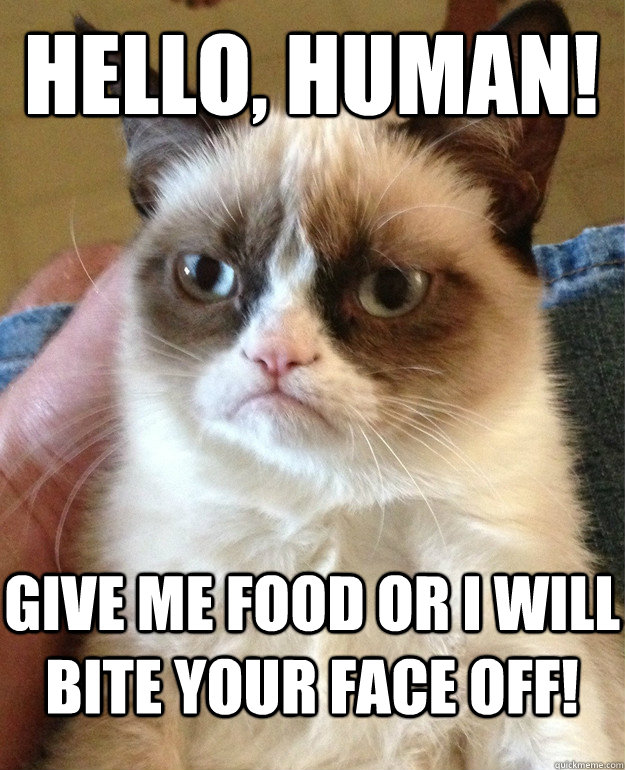 Hello, human! Give me food or i will bite your face off! - Hello, human! Give me food or i will bite your face off!  Grumpy Cat