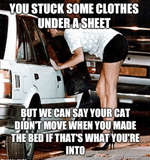 You stuck some clothes under a sheet But we can say your cat didn't move when you made the bed if that's what you're into  Karma Whore