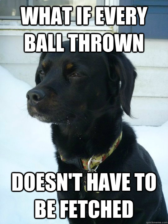 What if every ball thrown Doesn't have to be fetched - What if every ball thrown Doesn't have to be fetched  Philosophical Puppy