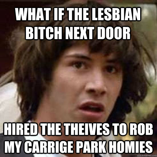 What if the lesbian bitch next door hired the theives to rob my carrige park homies  conspiracy keanu