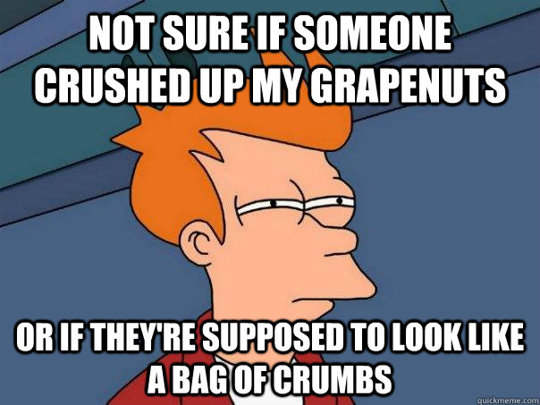 Not sure if someone crushed up my grapenuts or if they're supposed to look like a bag of crumbs  Futurama Fry