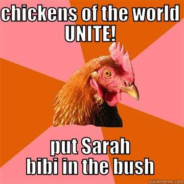 CHICKENS OF THE WORLD UNITE! PUT SARAH BIBI IN THE BUSH! Anti-Joke Chicken