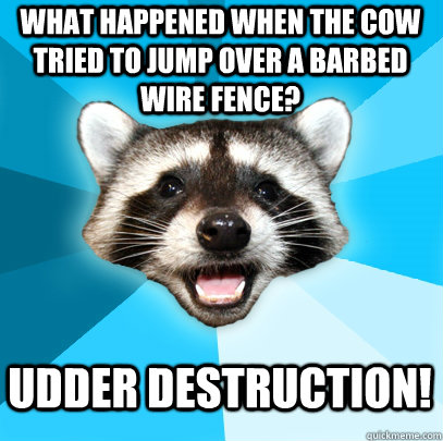 What happened when the cow tried to jump over a barbed wire fence? Udder destruction!  Lame Pun Coon