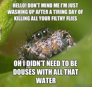 Hello! Don't mind me I'm just washing up after a tiring day of killing all your filthy flies Oh I didn't need to be douses with ALL that water  Misunderstood Spider