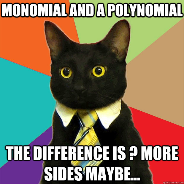 Monomial and a Polynomial The difference is ? more sides maybe...  Business Cat