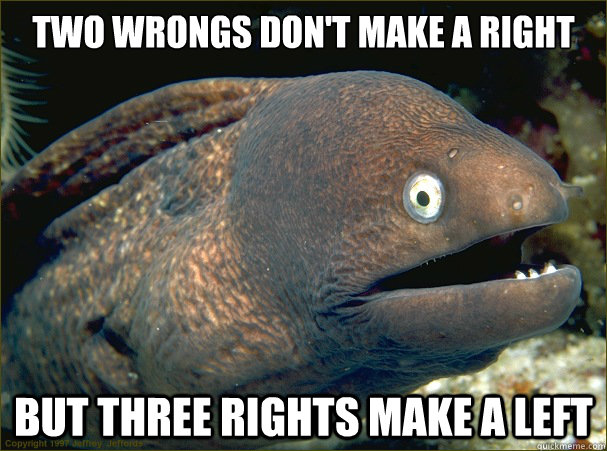 TWO WRONGS DON'T MAKE A RIGHT BUT THREE RIGHTS MAKE A LEFT  Bad Joke Eel