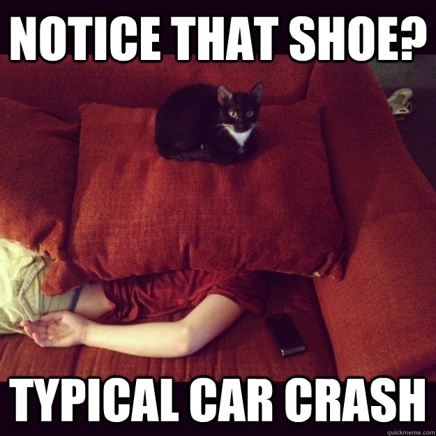 notice that shoe? Typical car crash  jealous cat