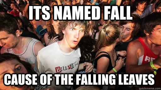 Its named fall cause of the falling leaves - Its named fall cause of the falling leaves  Misc