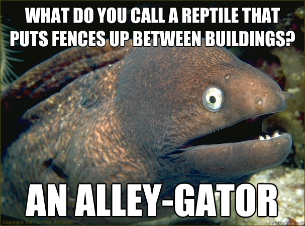 What do you call a reptile that puts fences up between buildings?  An alley-gator  Bad Joke Eel
