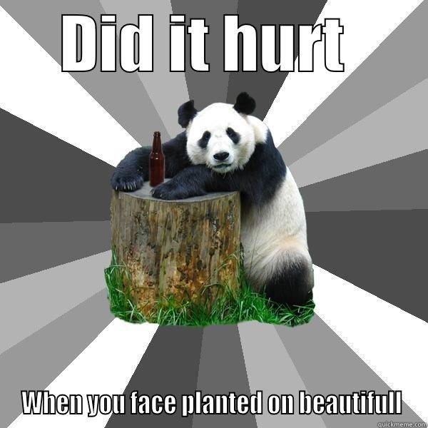 DID IT HURT  WHEN YOU FACE PLANTED ON BEAUTIFULL Pickup-Line Panda