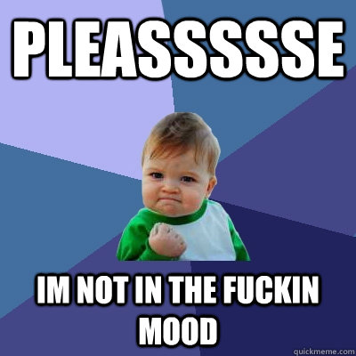 pleassssse im not in the fuckin mood - pleassssse im not in the fuckin mood  Success Kid