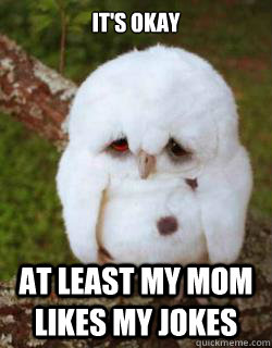 It's okay At least my mom likes my jokes  Sad Owl