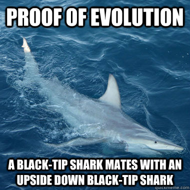 Proof of evolution A Black-tip shark mates with an upside down black-tip shark  