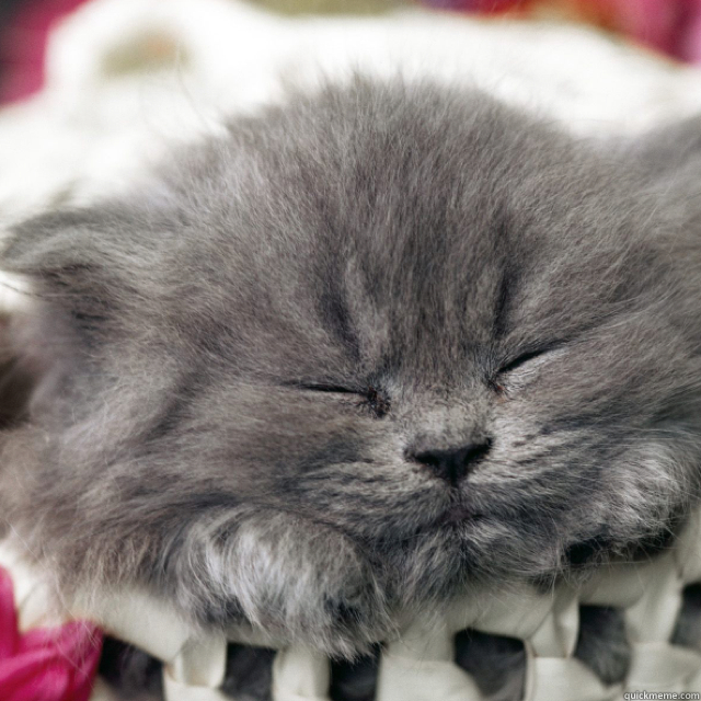     I found this guy in my basket