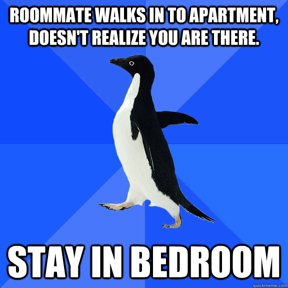 Roommate walks in to apartment, doesn't realize you are there. Stay in bedroom - Roommate walks in to apartment, doesn't realize you are there. Stay in bedroom  Socially Awkward Penguin