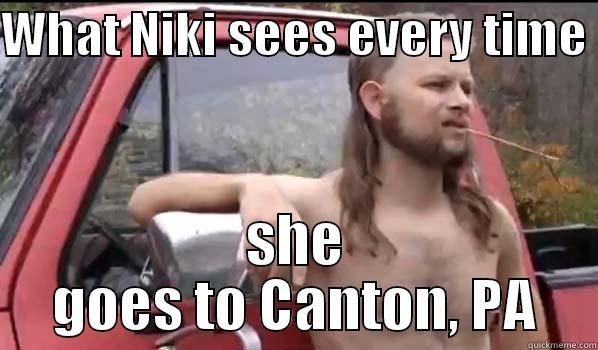 Canton PA!! - WHAT NIKI SEES EVERY TIME  SHE GOES TO CANTON, PA Almost Politically Correct Redneck