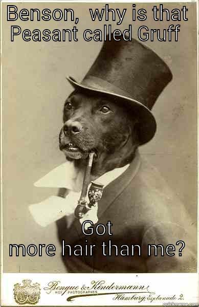 Peasant  - BENSON,  WHY IS THAT PEASANT CALLED GRUFF  GOT MORE HAIR THAN ME?                                                                            Old Money Dog