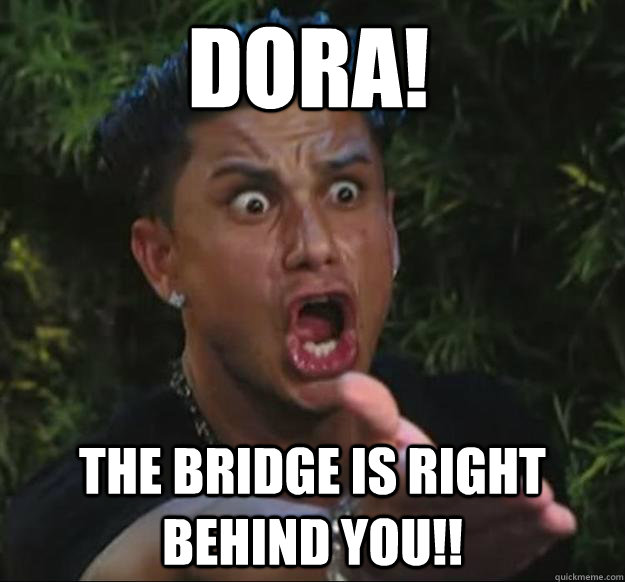 DORA! THE BRIDGE IS RIGHT BEHIND YOU!!  