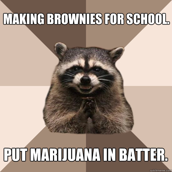 Making brownies for school. Put marijuana in batter.  Evil Plotting Raccoon