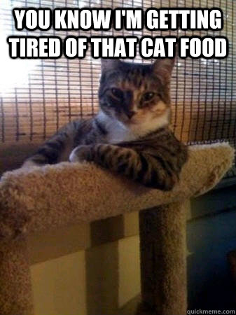 you know i'm getting tired of that cat food   The Most Interesting Cat in the World