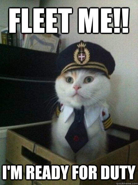 Fleet me!! I'm ready for duty - Fleet me!! I'm ready for duty  Captain kitteh