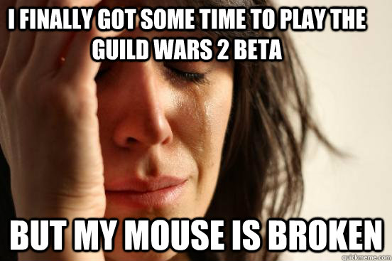 I finally got some time to play the Guild Wars 2 Beta  But my mouse is broken  First World Problems