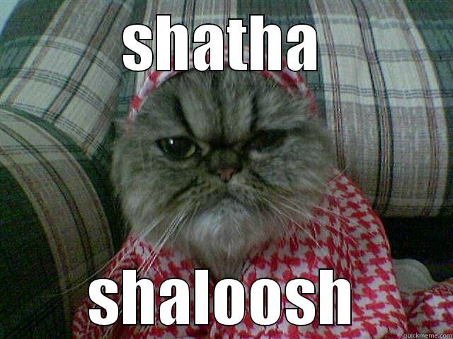 SHATHA SHALOOSH Misc