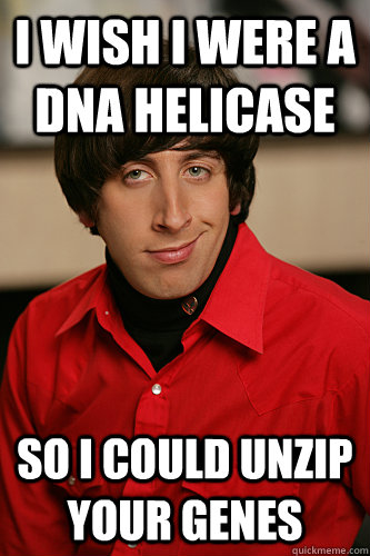 I wish i were a dna helicase  so i could unzip your genes - I wish i were a dna helicase  so i could unzip your genes  Howard Wolowitz
