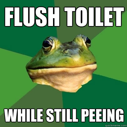 flush toilet while still peeing  Foul Bachelor Frog