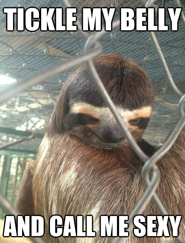 Tickle my belly  and call me sexy  Creepy Sloth