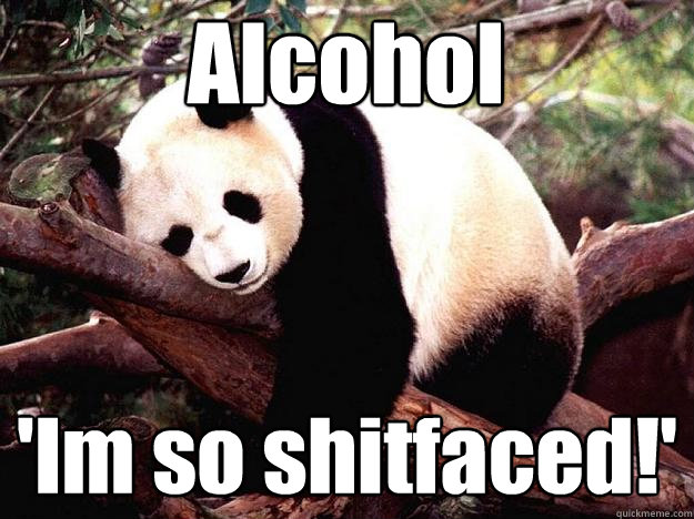Alcohol 'Im so shitfaced!'  Procrastination Panda