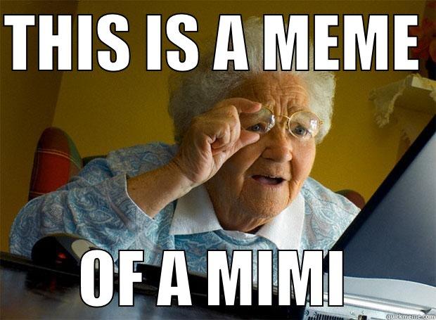The difference between a meme and a Mimi - THIS IS A MEME  OF A MIMI Grandma finds the Internet