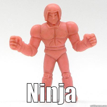  NINJA Misc
