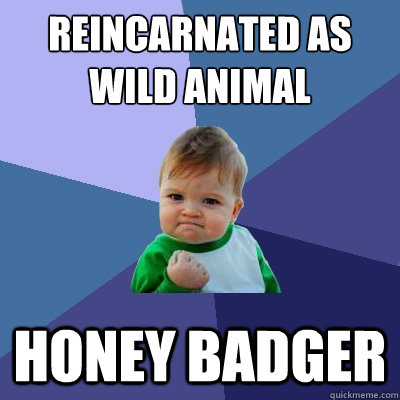 Reincarnated as
Wild Animal Honey Badger  Success Kid